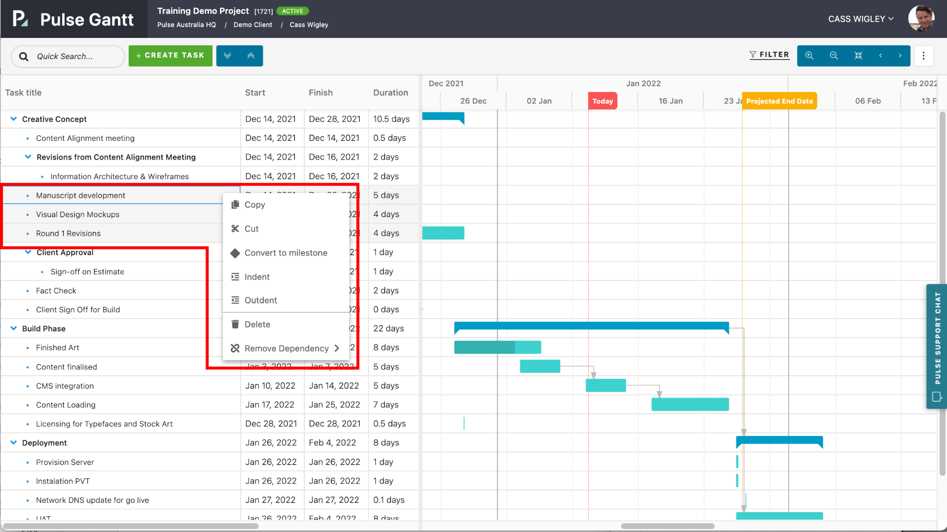 Bulk Editing Tasks - Pulse Project Management Software